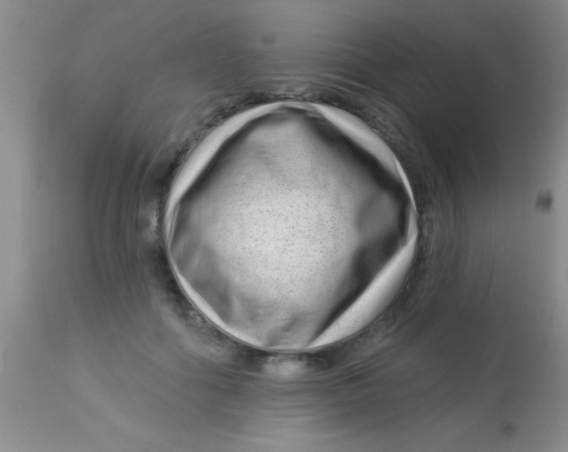 X0000112890602200909181914