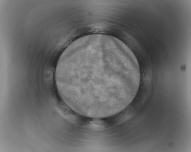 X0000112890603200909181914