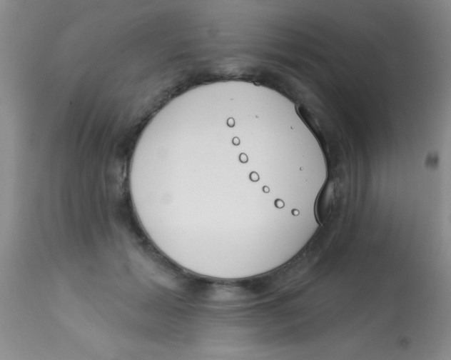 X0000112890605200909181914
