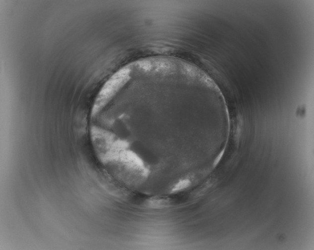 X0000112890606200909181914