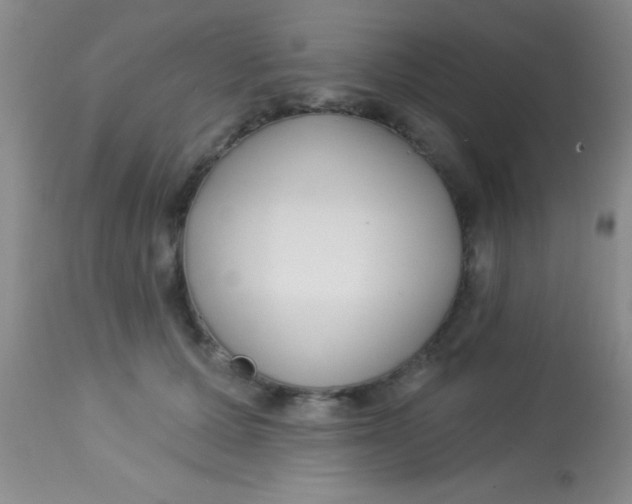 X0000112890607200909181914