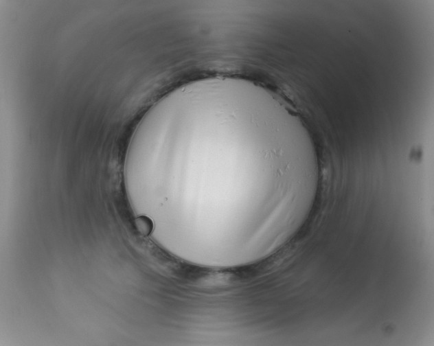 X0000112890609200909181914