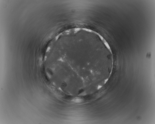 X0000112890610200909181913