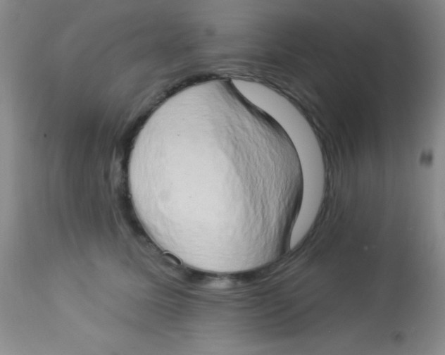 X0000112890611200909181913