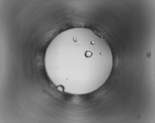 X0000112890616200909181913