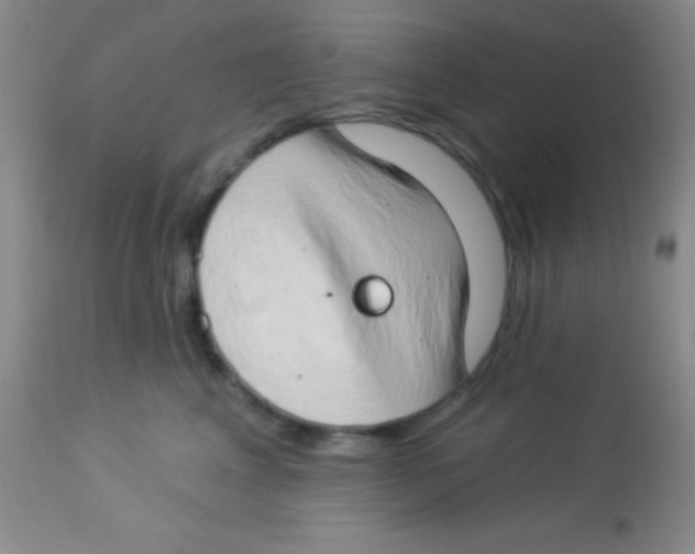 X0000112890617200909181913