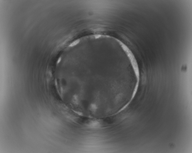 X0000112890618200909181913