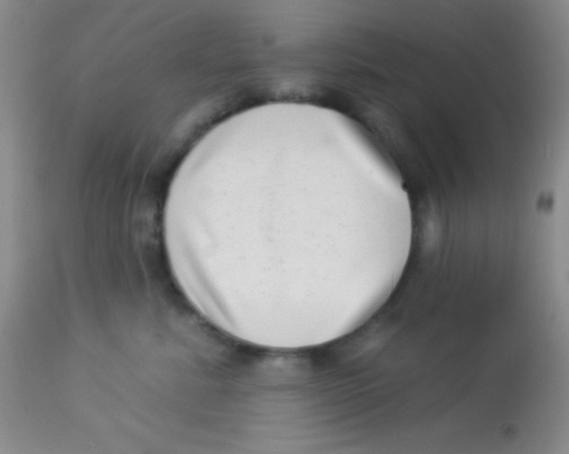X0000112890619200909181913