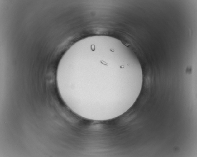 X0000112890620200909181913