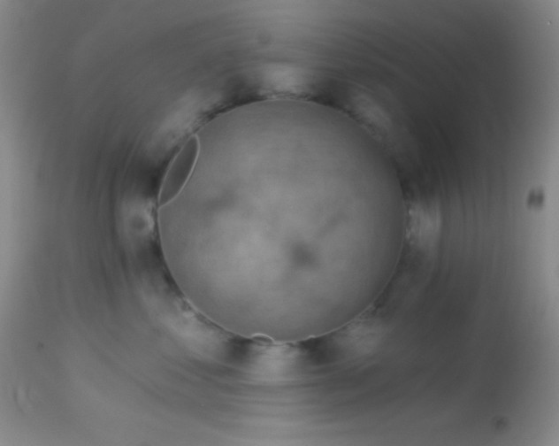 X0000112890621200909181913