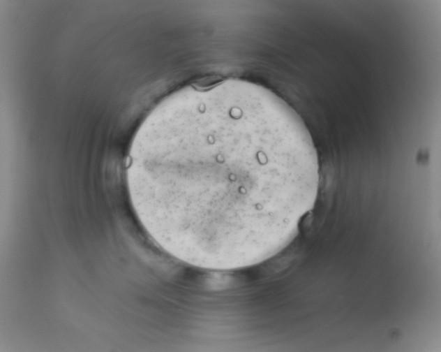 X0000112890623200909181913