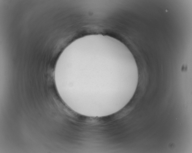 X0000112890624200909181913