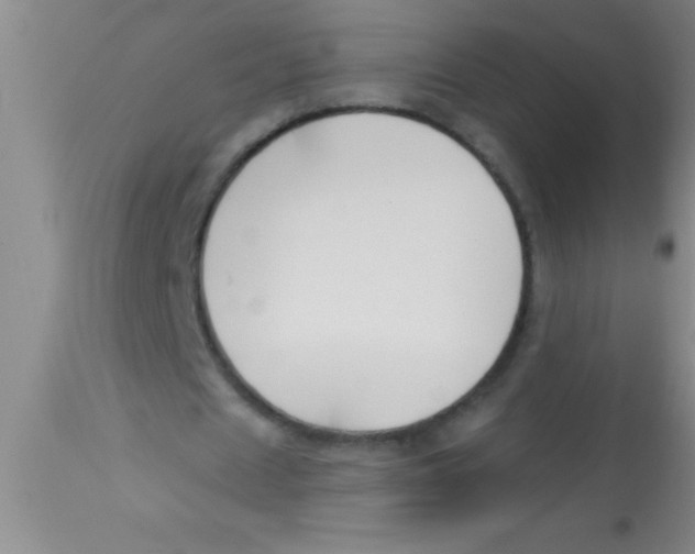 X0000112890625200909181913