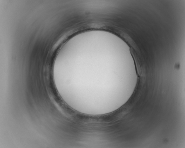 X0000112890626200909181913