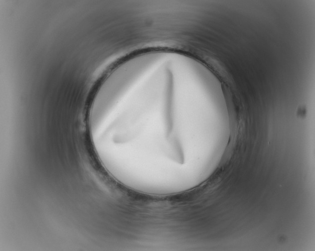 X0000112890628200909181913