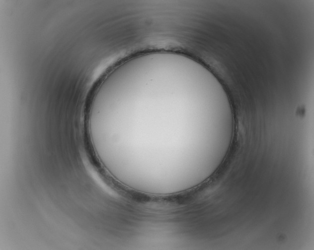 X0000112890630200909181913