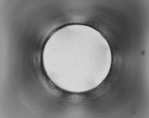 X0000112890632200909181913