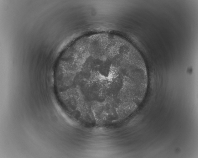 X0000112890634200909181913