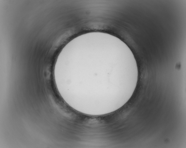 X0000112890635200909181913