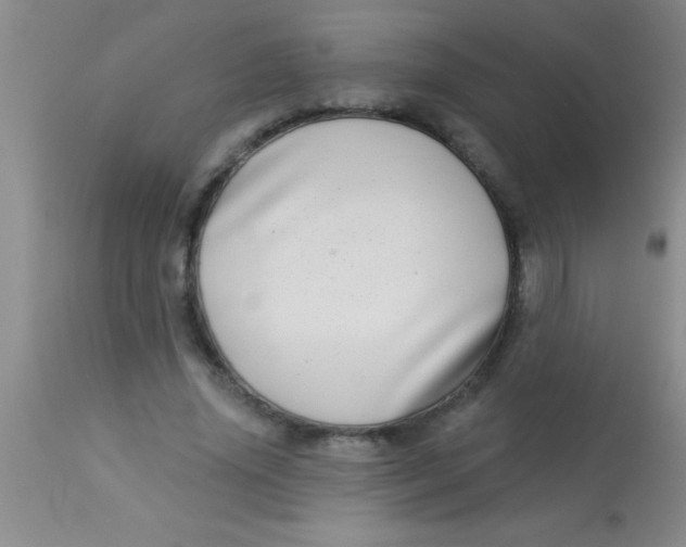 X0000112890636200909181913