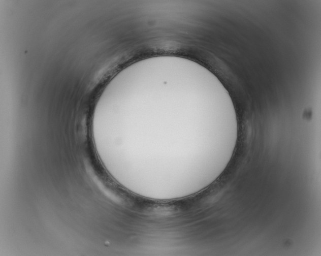 X0000112890638200909181913