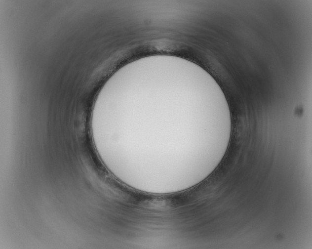 X0000112890639200909181913