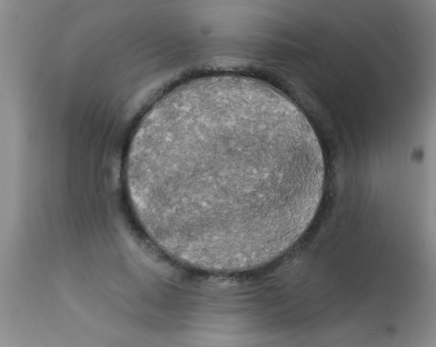 X0000112890640200909181913