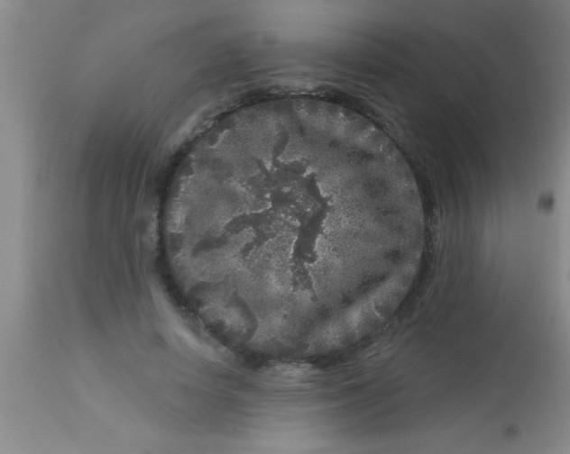 X0000112890642200909181913