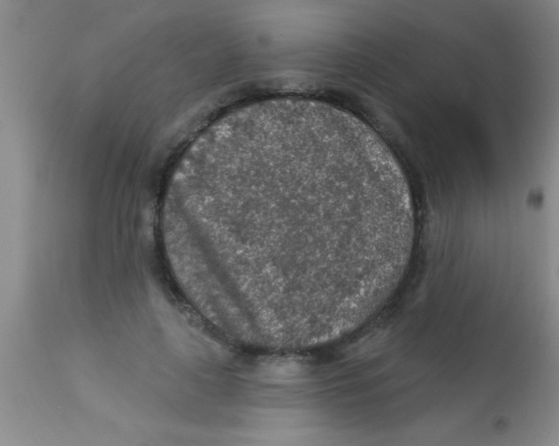 X0000112890643200909181913