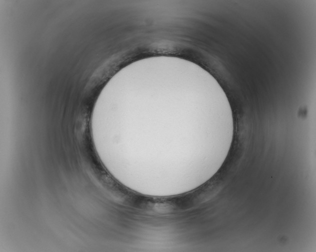 X0000112890645200909181913