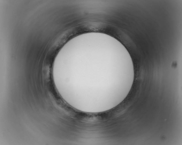 X0000112890646200909181913