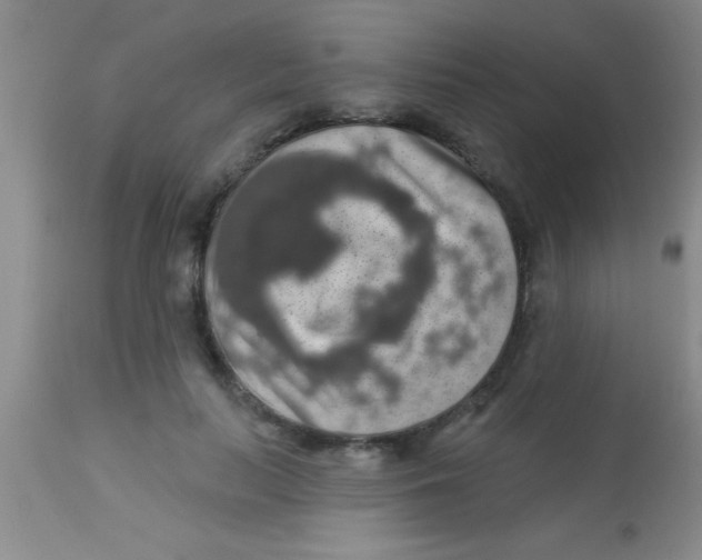X0000112890647200909181913