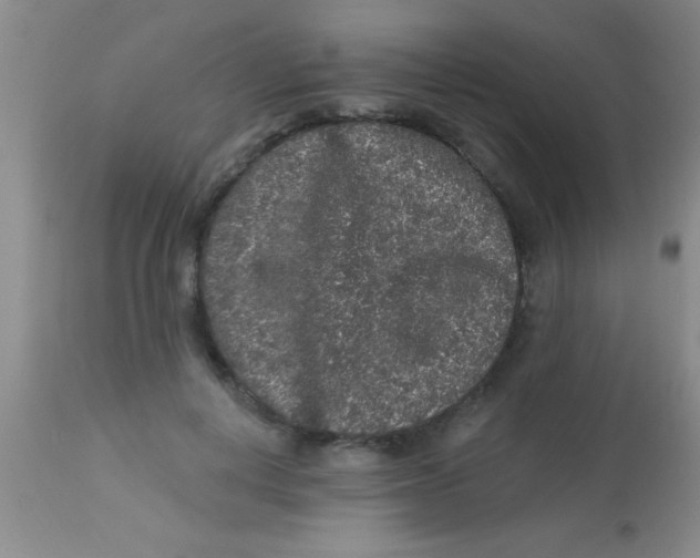 X0000112890648200909181913
