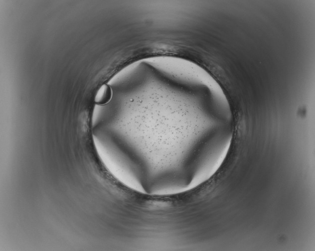 X0000112890649200909181913