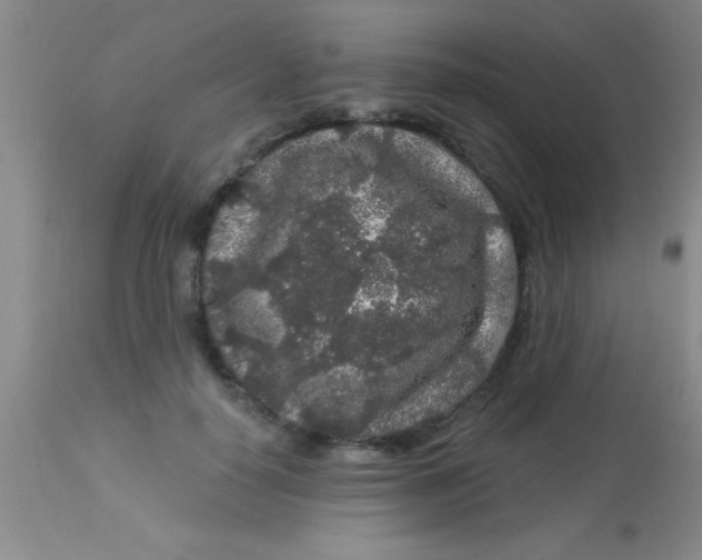 X0000112890650200909181913