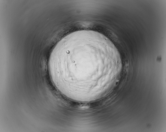 X0000112890651200909181913