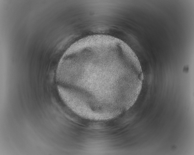 X0000112890652200909181913