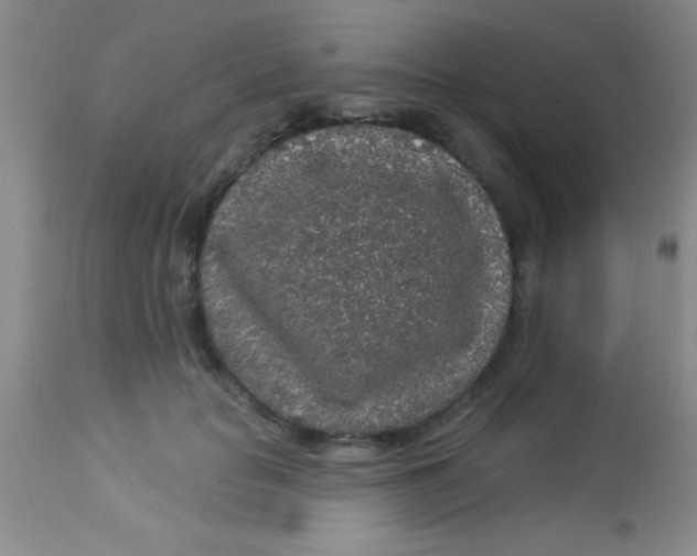 X0000112890653200909181913