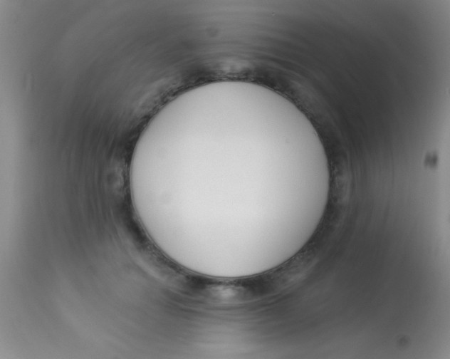 X0000112890654200909181913
