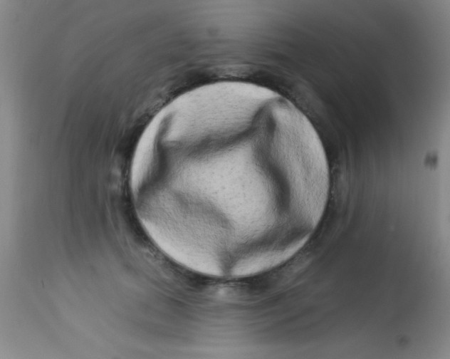 X0000112890655200909181913