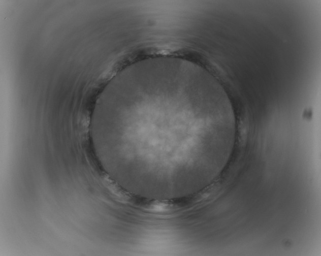 X0000112890657200909181913
