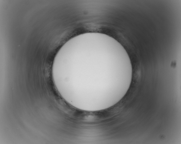 X0000112890658200909181913