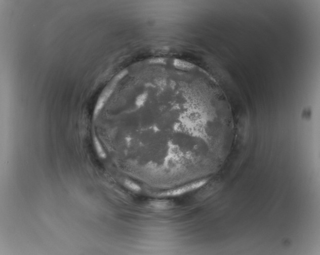 X0000112890659200909181913