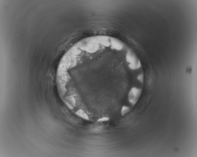 X0000112890661200909181913