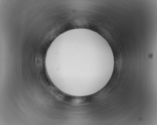 X0000112890662200909181913