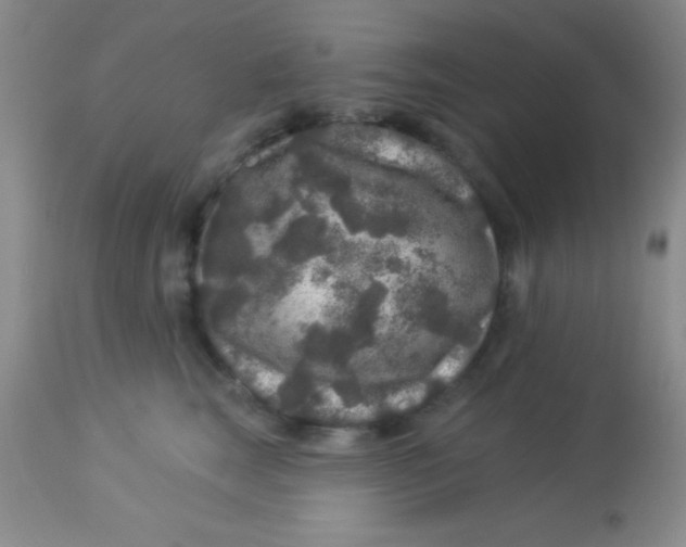 X0000112890663200909181913