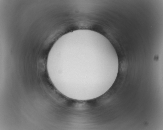 X0000112890666200909181913