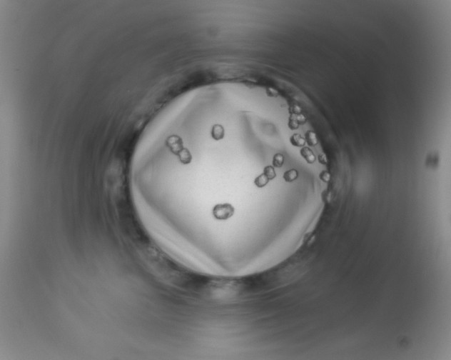 X0000112890667200909181913