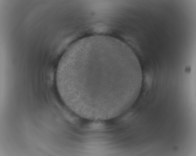 X0000112890668200909181913