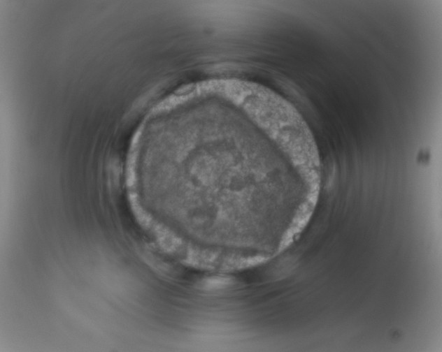 X0000112890669200909181913
